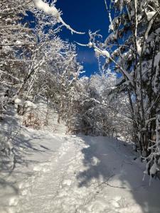 Gîte partagé durante el invierno