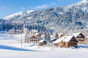 Das Almsternderl - gemütliche Wohnung in Gosau v zime