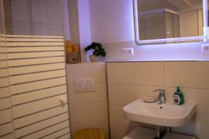 ห้องน้ำของ Altstadtidyll 60qm - Central - Parking - Washer