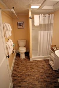 a bathroom with a toilet and a shower at The Kennebunk Inn in Kennebunk