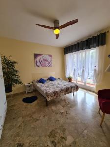 1 dormitorio con 1 cama y ventilador de techo en Casa dell amore 2, en San Remo