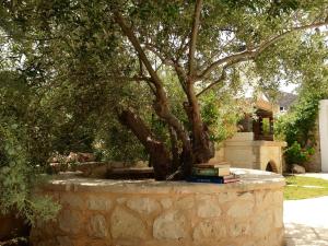 Vonkajšia záhrada v ubytovaní Olive Coast Suites