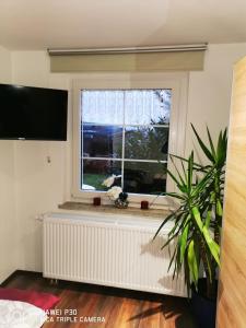 une fenêtre avec un radiateur dans le salon dans l'établissement Studio Edeltraud zentral, à Wernigerode