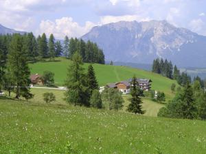 uma casa numa colina num campo verde em Kirchenbichlerhof em Pruggern