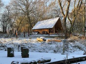 Acorn Glade Glamping York v zimě