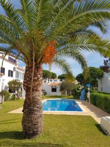 a palm tree next to a swimming pool at Algarve Apartment Falésia in Albufeira