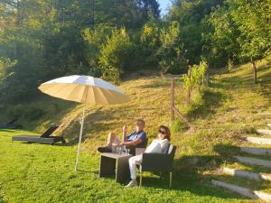 Gallery image of Pension Alpenhof in Bad Aussee