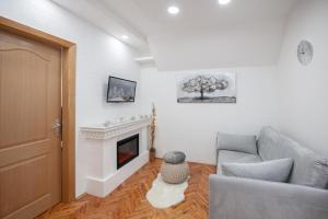a living room with a couch and a fireplace at Apartman Kopaonik Despotovic in Kopaonik