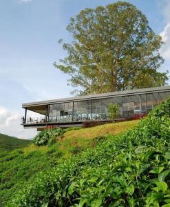 Gallery image of Strawberry Park Resort in Cameron Highlands