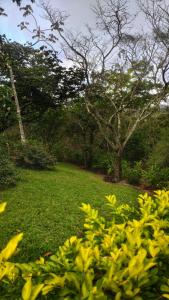Jardín al aire libre en Sítio São Gerardo - Aconchegante casa no campo.