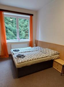 a bedroom with a bed in front of a window at Apartmán NOVOHRADKY 22 in Benešov nad Černou