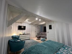 a bedroom with a bed and a tv and a couch at Comfort Zone Ostróda BLUE in Grabinek