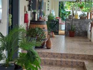 Fotografie z fotogalerie ubytování Tabua Village v destinaci Ribeira Brava