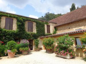 an ivy covered building with potted plants on it at La Ferme Fleurie in La Roque-Gageac