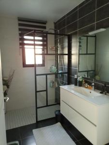 a bathroom with a sink and a shower and a mirror at Maison neuve et chaleureuse in Morcenx