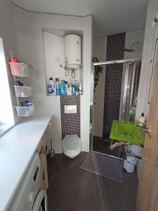 a bathroom with a toilet and a green sink at Apartamento Rosamar, sea view in Los Cristianos +25 photos