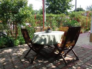 Zahrada ubytování Casa Munteanu