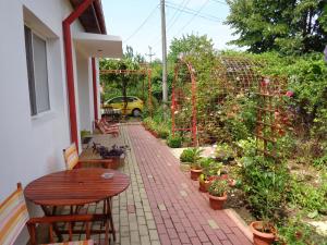 Zahrada ubytování Casa Munteanu