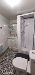 ein weißes Bad mit einer Dusche und einem WC in der Unterkunft Appartement Cosy au cœur de la Champagne in Cramant
