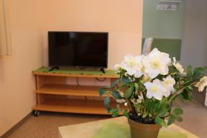 TV a/nebo společenská místnost v ubytování Pension Göschlberger