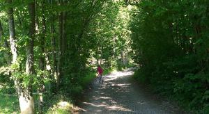 Billede fra billedgalleriet på Csendes Bükk 2 Kulcsosház i Izvoare