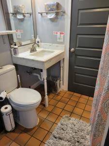 a bathroom with a white toilet and a sink at Modern Rustic split level with balcony in Cincinnati +19 photos