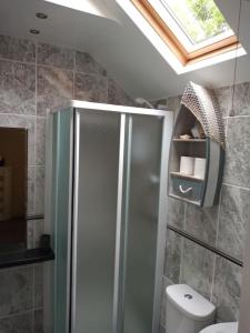 ein Bad mit einer Dusche, einem WC und einem Dachfenster in der Unterkunft Daisys cottage. Blaenau ffestiniog. in Blaenau-Ffestiniog