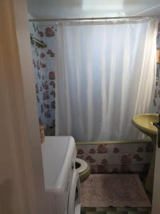 a bathroom with a toilet and a white shower curtain at Maria's Cozy apartment in Palaio Faliro in Athens
