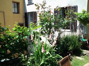 A garden outside Casa Mario Lupo - Apartments and Rooms