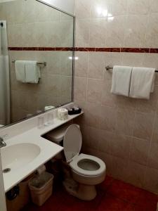 a bathroom with a toilet and a sink and a mirror at Parador Guánica 1929 in Guanica