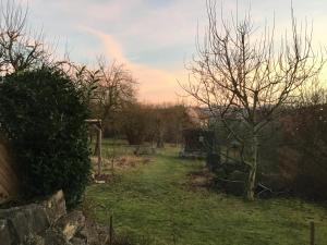 a field with a tree and a rainbow in the sky at Apartment in der Waldstraße in Vellberg