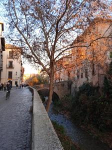 un albero su un marciapiede accanto a un fiume di BONITO AP CENTRICO PATIO WIFI PARKING GRATIS. a Granada
