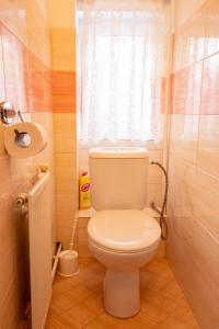 Kúpeľňa v ubytovaní Apartment Blehovi