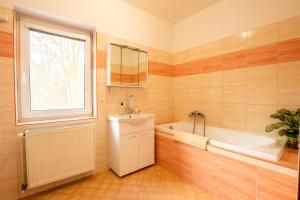 Kúpeľňa v ubytovaní Apartment Blehovi + 37 fotografií