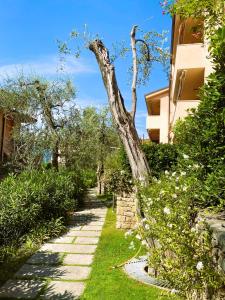 A garden outside ULIVI Beth's House