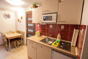 Kuchyňa alebo kuchynka v ubytovaní Apartment Blehovi