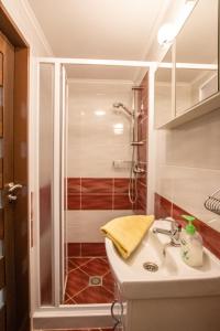Kúpeľňa v ubytovaní Apartment Blehovi