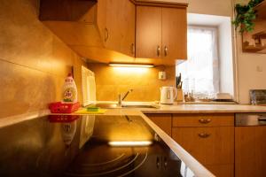 Kuchyňa alebo kuchynka v ubytovaní Apartment Blehovi