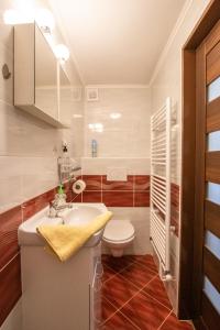 Kylpyhuone majoituspaikassa Apartment Blehovi