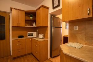 Kuchyňa alebo kuchynka v ubytovaní Apartment Blehovi