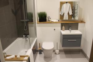 a bathroom with a toilet and a sink and a shower at Luxury 1 Bed Apartment In The Heart Of Rochester in Wainscot