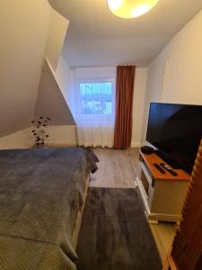 Schlafzimmer mit einem Bett und einem Flachbild-TV in der Unterkunft Sonnenhof Bad Salzuflen in Bad Salzuflen