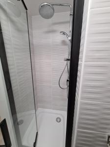 eine Duschkabine mit einer Glastür mit einem Duschkopf in der Unterkunft Sonnenhof Bad Salzuflen in Bad Salzuflen
