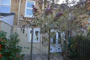 uma pequena árvore em frente a uma casa em The Crandale House Vacation Home em Bath