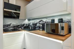 Kuchyňa alebo kuchynka v ubytovaní Apartament Między Górami