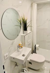 a bathroom with a toilet and a sink and a mirror at An der Uni Klinik Homburg, Neueröffnung Exklusiv neu renoviertes Apartment mit Küche und Badezimmer in Homburg