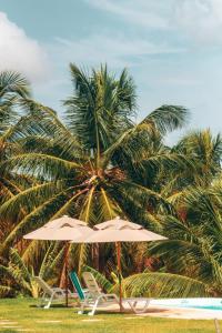 duas cadeiras e um guarda-sol e duas palmeiras em Chalés Ed Moitas em Praia de Moitas
