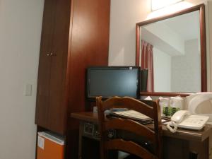 TV a/nebo společenská místnost v ubytování Hamamatsu Station Hotel