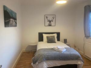 1 dormitorio con 1 cama y un ciervo en la pared en Smith House en Scunthorpe