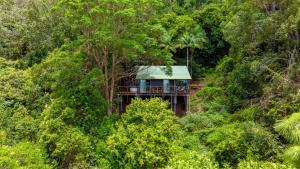 a tree house in the middle of a forest at Treetops Seaview Montville in Montville